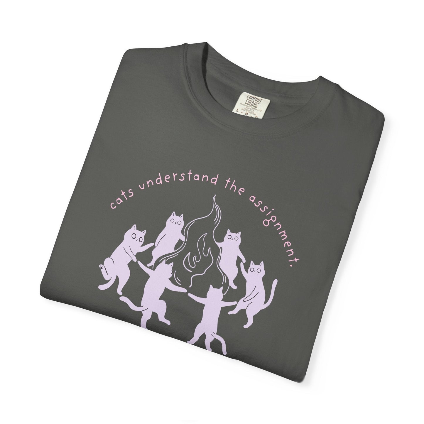 Cats Understand the Assignment T-Shirt Printify