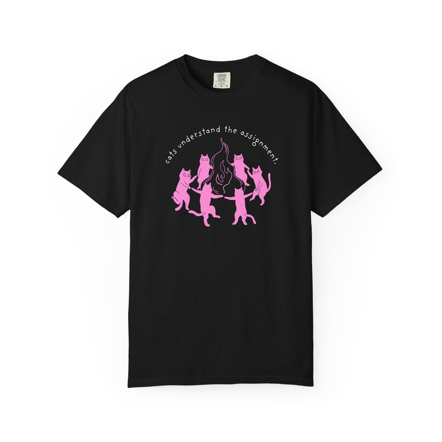 Cats Understand the Assignment T-Shirt Printify