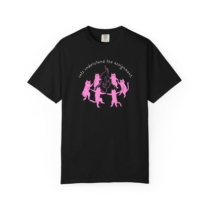 Cats Understand the Assignment T-Shirt Printify