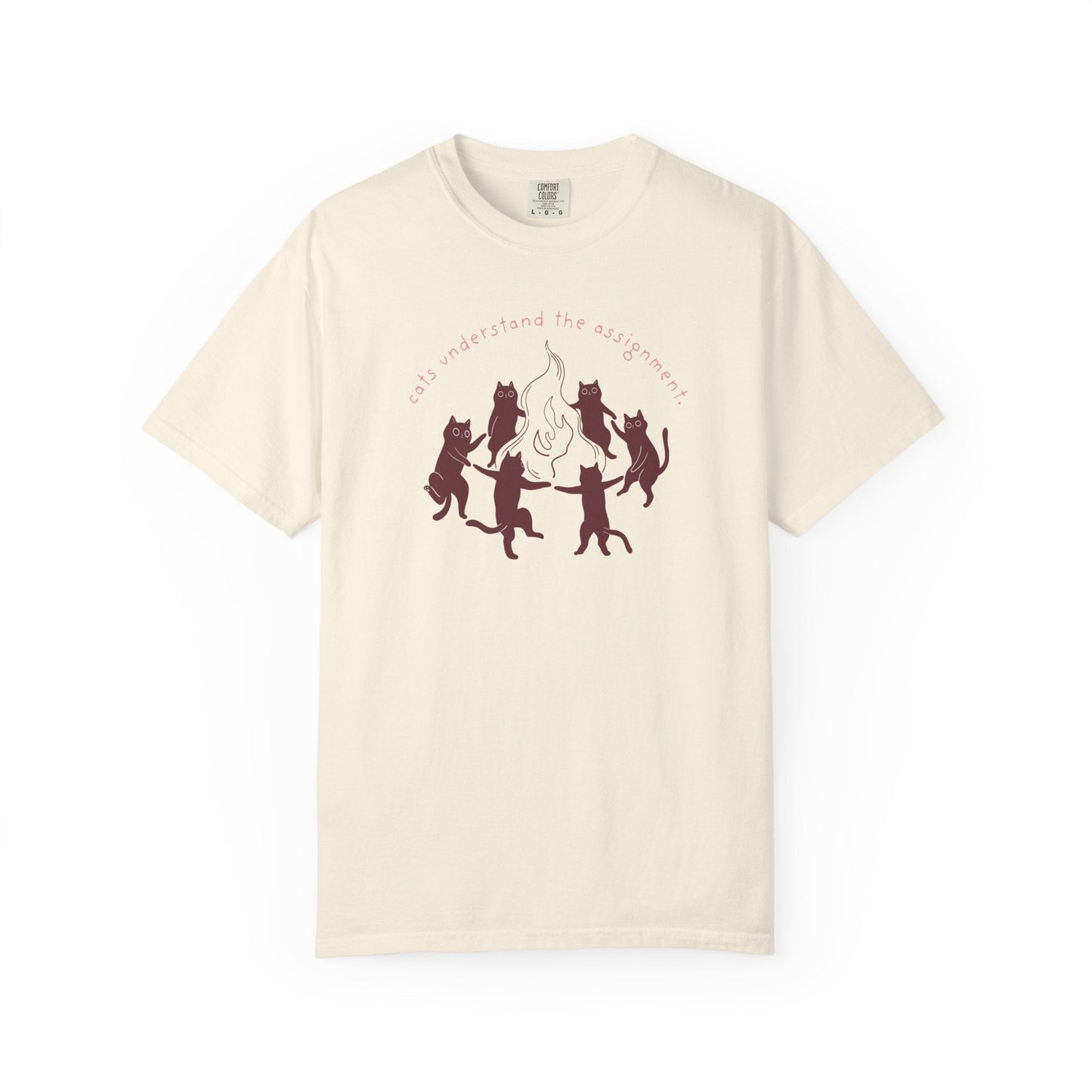 Cats Understand the Assignment T-Shirt Printify