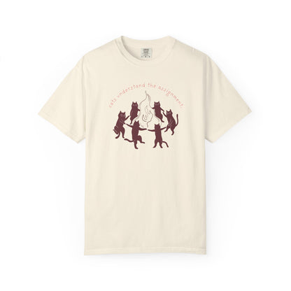 Cats Understand the Assignment T-Shirt Printify