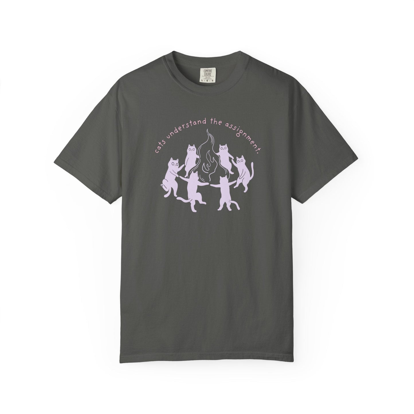 Cats Understand the Assignment T-Shirt Printify