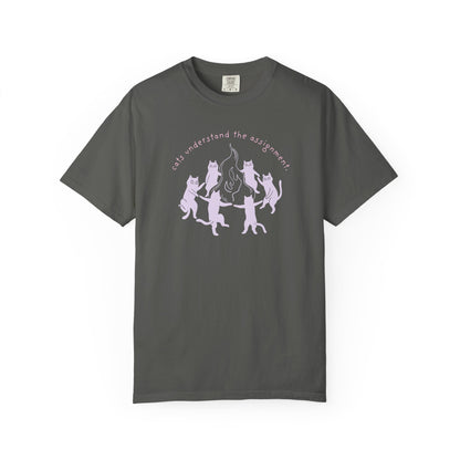 Cats Understand the Assignment T-Shirt Printify