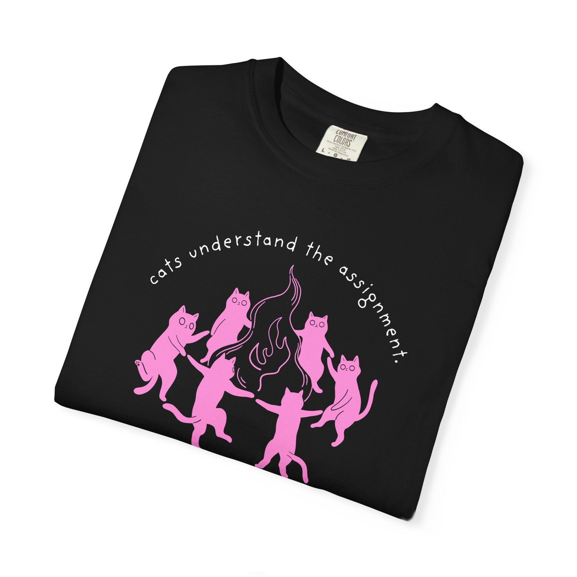 Cats Understand the Assignment T-Shirt Printify