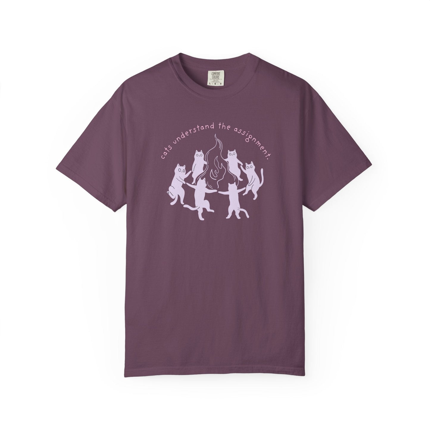 Cats Understand the Assignment T-Shirt Printify