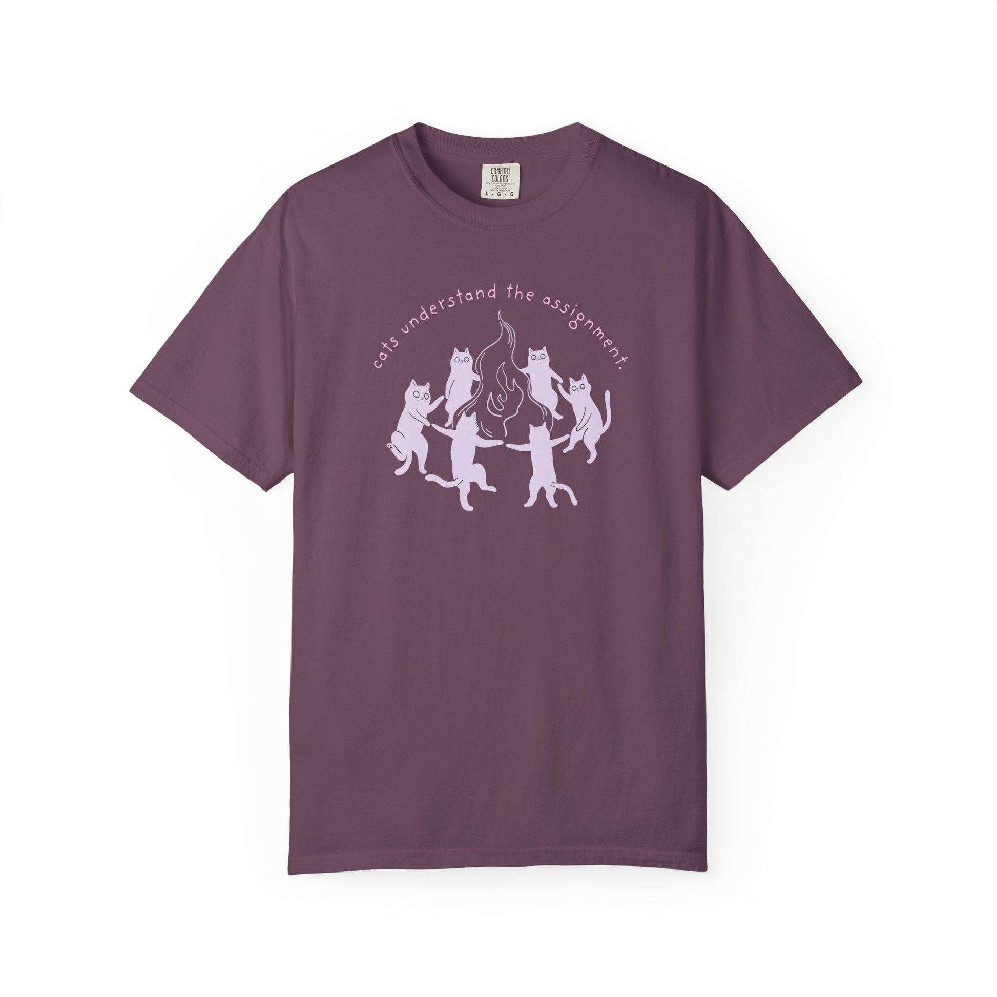 Cats Understand the Assignment T-Shirt Printify